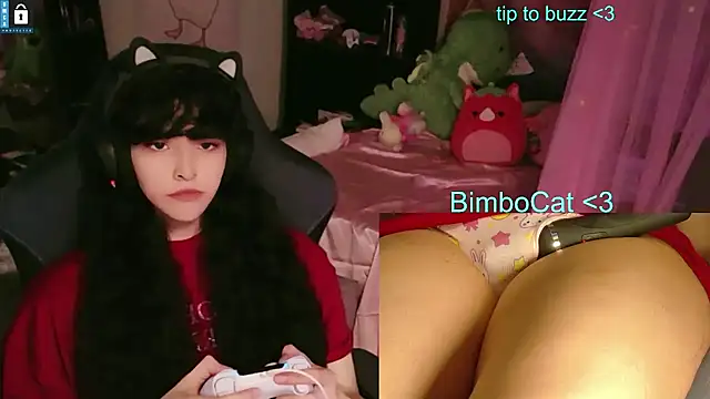 Snapshot of BimboCat chatting on 11, 6, 2026 BimboCat online show from 11, 6, 2026