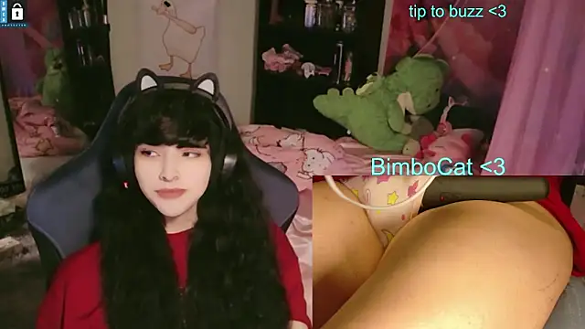 Snapshot of BimboCat chatting on 13, 6, 2026 BimboCat online show from 13, 6, 2026