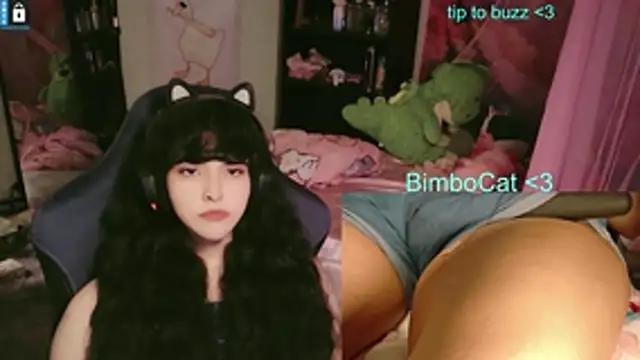 Snapshot of BimboCat chatting on 14, 6, 2026 BimboCat online show from 14, 6, 2026