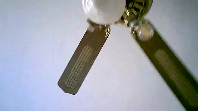 Sylviastar46 online show from 11, 11, 2025