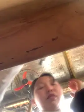 bi-bo123 online show from 2, 3, 2026