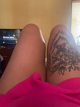 gatitaamelosa online show from 17, 12, 2025