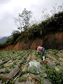 min nyny online show from 21, 11, 2025