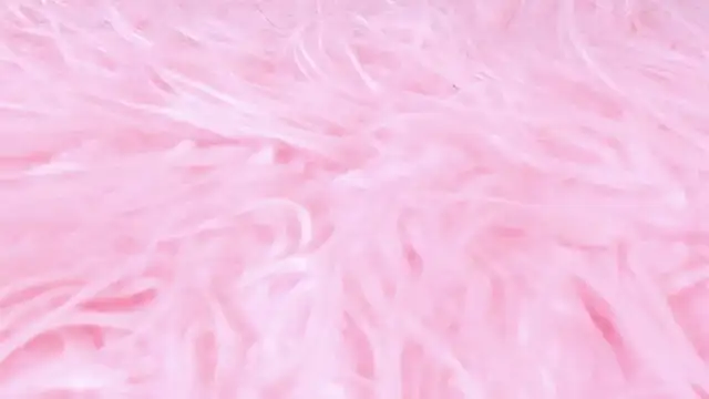 scarlett leblanc  online show from 24, 3, 2026