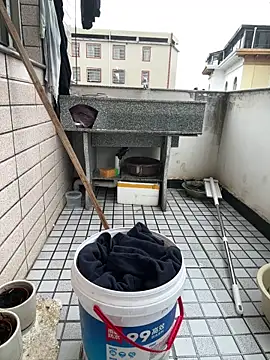 daaqnn online show from 5, 12, 2025