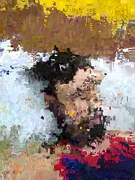 loveart007 online show from 7, 3, 2026