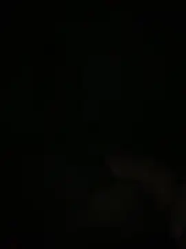 Snapshot of Manfredini607452 chatting on 18, 11, 2025 Manfredini607452 online show from 18, 11, 2025