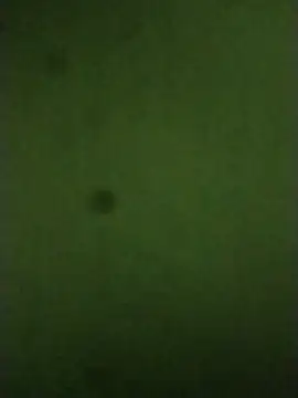 sexychd online show from 14, 12, 2025