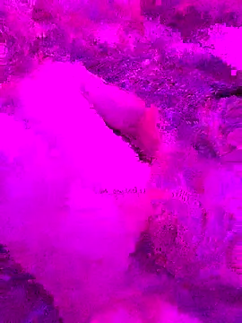 Snapshot of PitoDuroWuero chatting on 27, 11, 2025 PitoDuroWuero online show from 27, 11, 2025