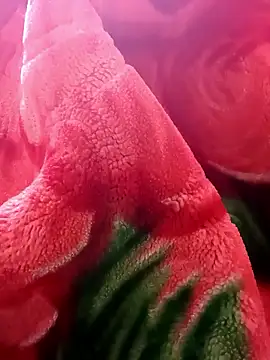 tamal2511 online show from 9, 1, 2026