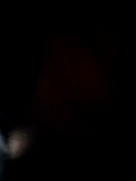 ANIMAA09 online show from 29, 11, 2025