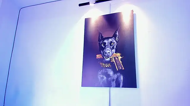 stiven 24cm online show from 28, 11, 2025