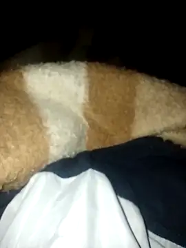 Azo3zgju online show from 23, 11, 2025