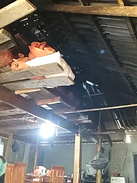 bibo-sex online show from 26, 11, 2025