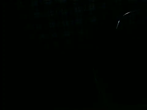 ellsaBunny online show from 6, 11, 2025