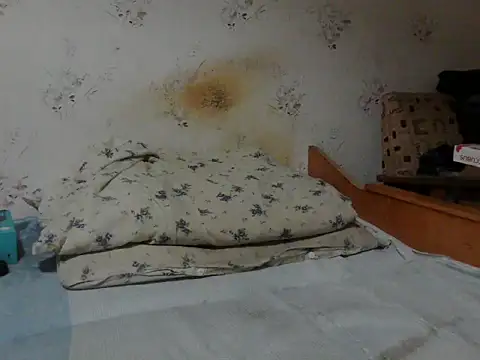 Snapshot of Kreol69 chatting on 24, 11, 2025 Kreol69 online show from 24, 11, 2025