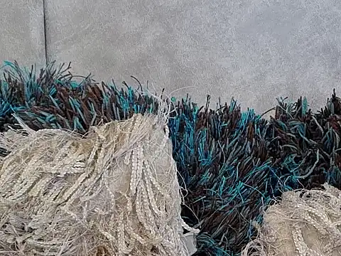 LannyShell online show from 26, 11, 2025