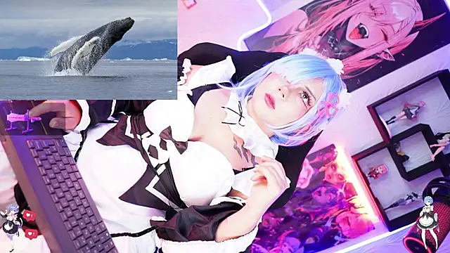 Noha-- online show from 17, 11, 2025