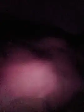 White chocolate69 online show from 21, 12, 2025