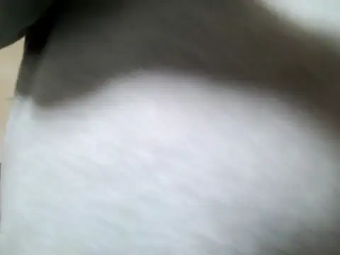 Snapshot of Olifesse chatting on 16, 5, 2026 Olifesse online show from 16, 5, 2026