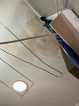 trickydickydaddy online show from 21, 2, 2026