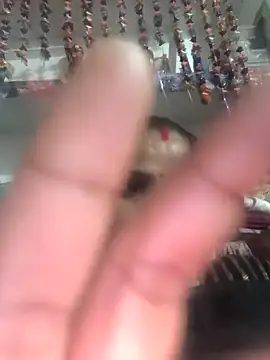 Hot suini online show from 14, 2, 2026