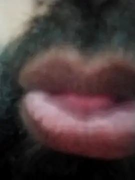 hyderabad single online show from 24, 11, 2025