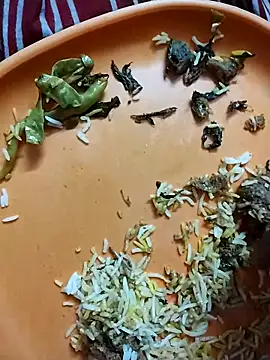 hyderabad single online show from 21, 3, 2026