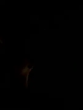 RonnySlim online show from 6, 1, 2026