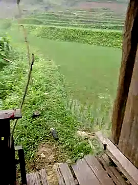 Cloud-wh online show from 8, 4, 2026