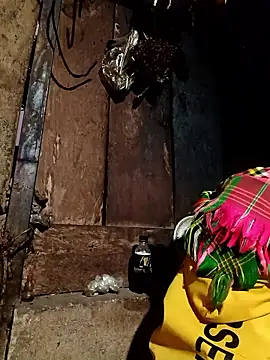 -Chua-90 online show from 12, 1, 2026