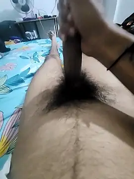 Snapshot of Noxvorlen chatting on 14, 11, 2025 Noxvorlen online show from 14, 11, 2025