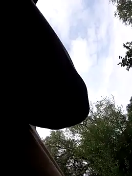 Snapshot of Mc02 chatting on 11, 11, 2025 Mc02 online show from 11, 11, 2025