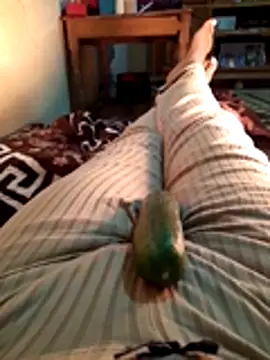 Tota sexi online show from 28, 11, 2025