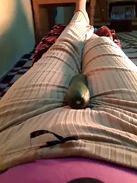 Tota sexi online show from 1, 12, 2025