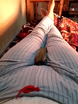 Tota sexi online show from 4, 12, 2025