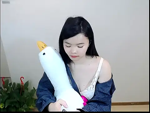 Shaurk online show from 1, 2, 2026