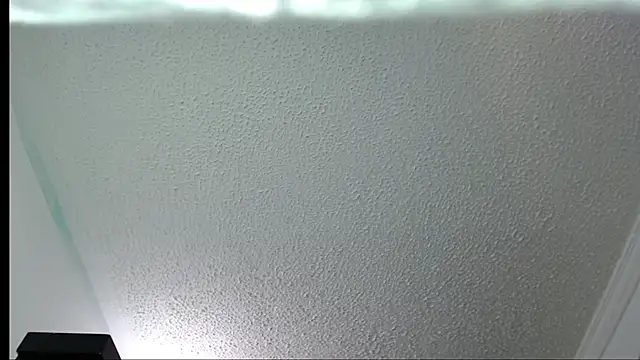 Little-rouse online show from 30, 11, 2025