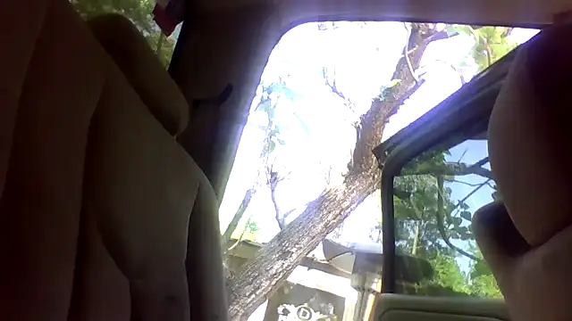 dickencidr online show from 15, 4, 2026