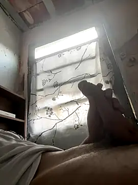 24 c online show from 2, 12, 2025