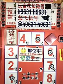 Snapshot of 535li chatting on 14, 11, 2025 535li online show from 14, 11, 2025