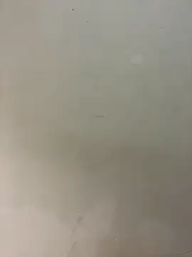 bigass256 online show from 14, 2, 2026