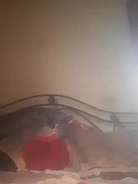 Shivona online show from 28, 11, 2025