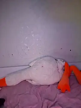 carolinakis  online show from 20, 2, 2026