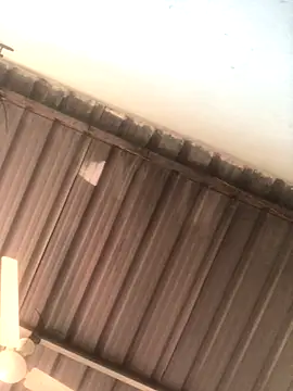 sexguruxxx online show from 19, 11, 2025