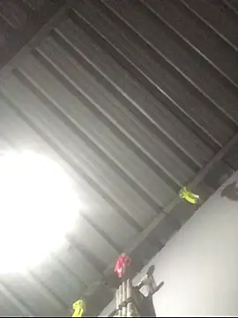 sexguruxxx online show from 11, 1, 2026