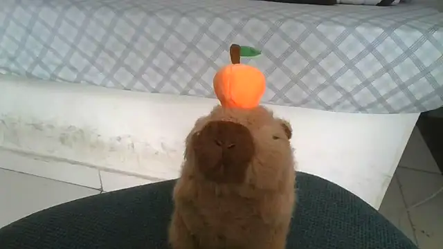 Satanatrix online show from 9, 2, 2026