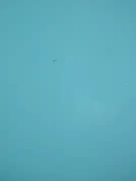 Snapshot of braidqueen00 chatting on 15, 2, 2026 braidqueen00 online show from 15, 2, 2026