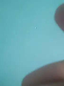 Snapshot of braidqueen00 chatting on 19, 2, 2026 braidqueen00 online show from 19, 2, 2026