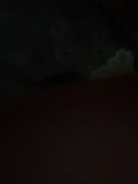 vebvs online show from 2, 3, 2026